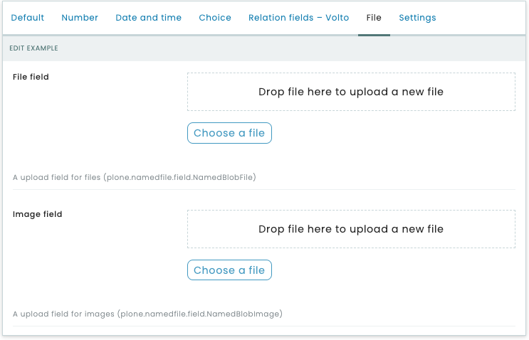 File fields